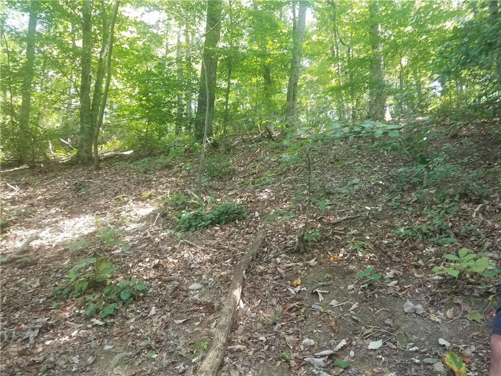 0 Whippoorwill Terrace Alto, GA 30510 - Photo 14 of 24 a view of a forest with trees in the background