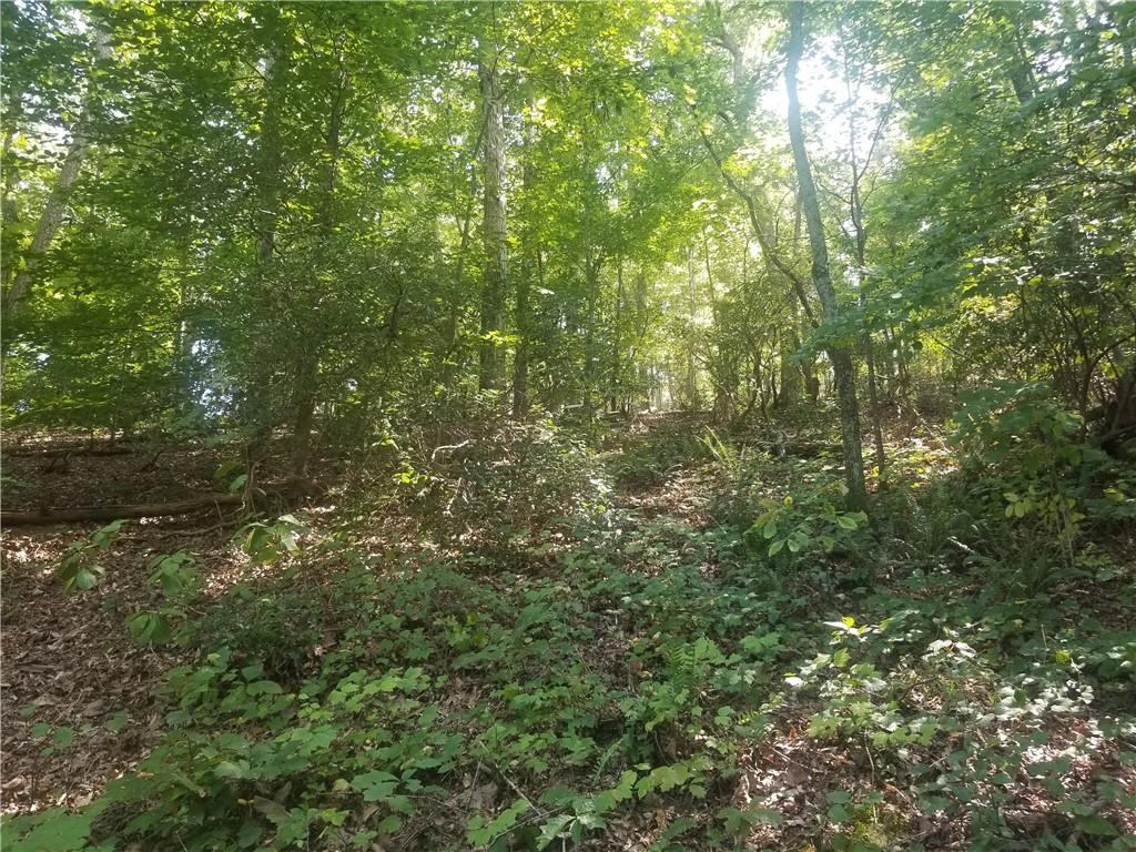 0 Whippoorwill Terrace Alto, GA 30510 - Photo 15 of 24 a view of a lush green forest