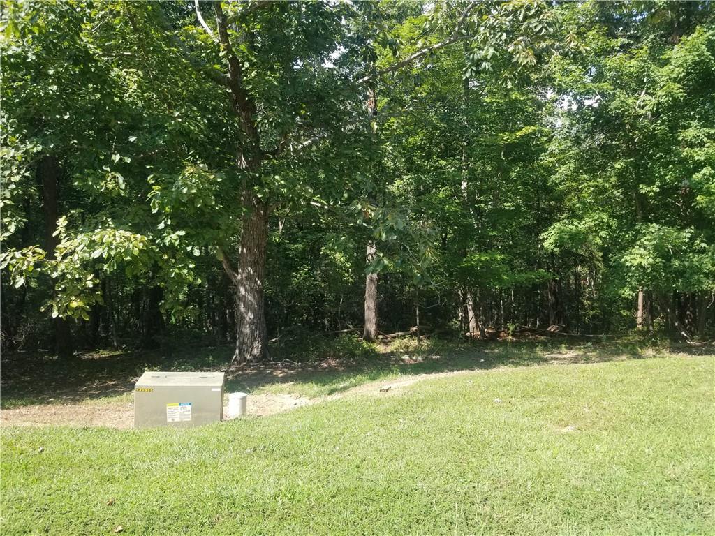 0 Whippoorwill Terrace Alto, GA 30510 - Photo 16 of 24 a backyard of a house with lots of green space and fountain