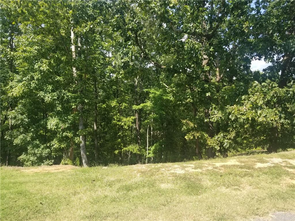 0 Whippoorwill Terrace Alto, GA 30510 - Photo 17 of 24 a view of a yard with a tree