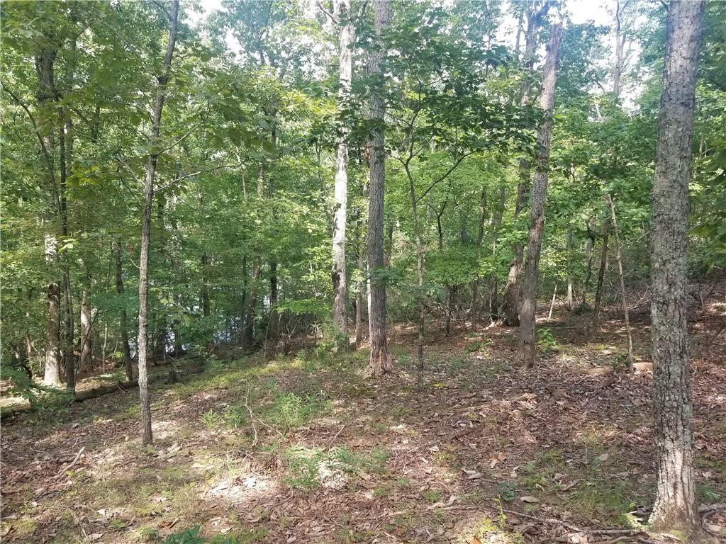 0 Whippoorwill Terrace Alto, GA 30510 - Photo 19 of 24 a view of outdoor space and trees