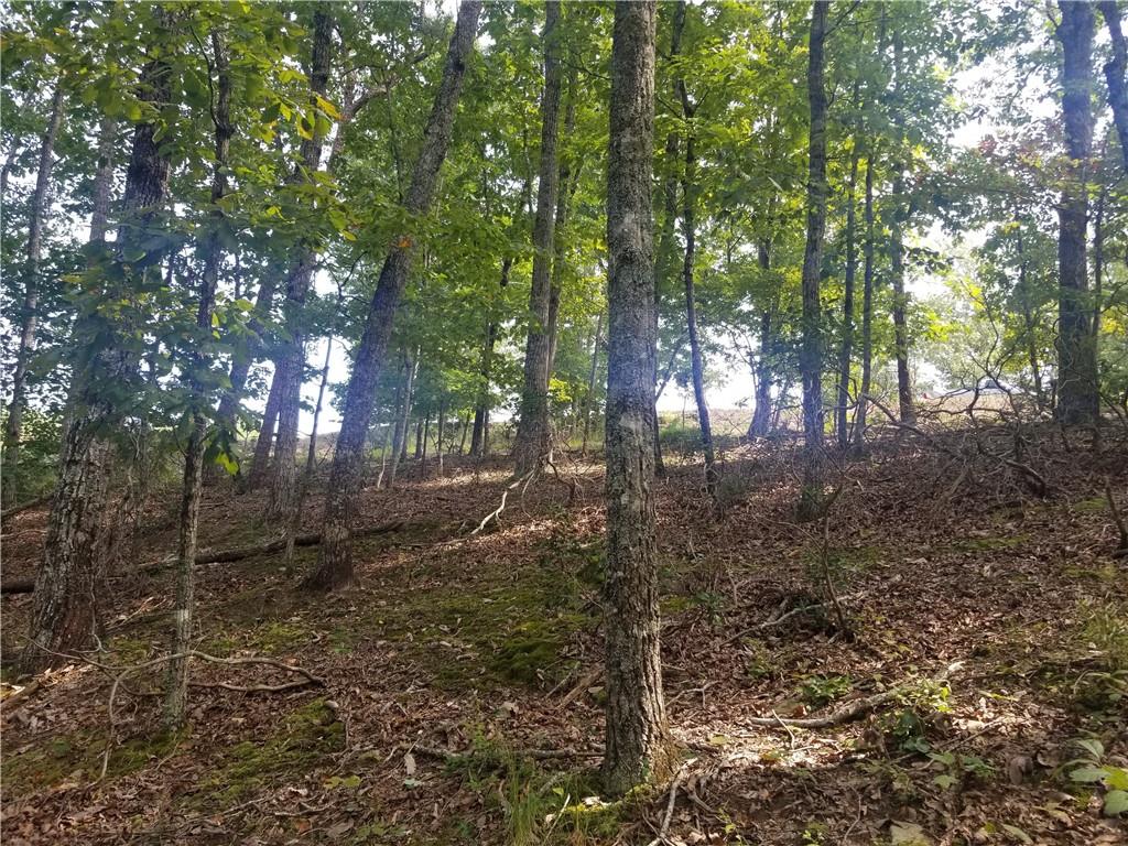 0 Whippoorwill Terrace Alto, GA 30510 - Photo 20 of 24 a backyard of a house with lots of green space