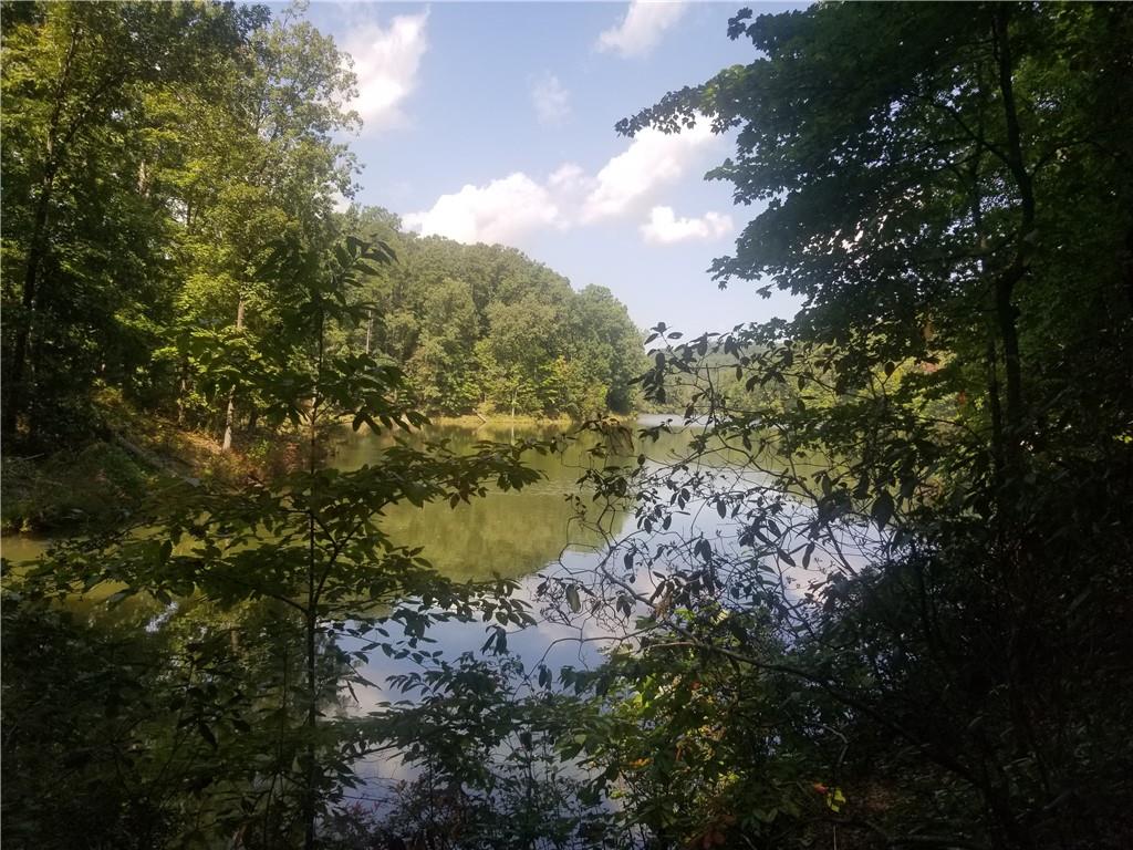 0 Whippoorwill Terrace Alto, GA 30510 - Photo 2 of 24 a view of lake from yard
