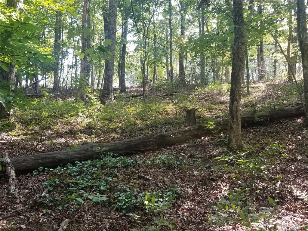 0 Whippoorwill Terrace Alto, GA 30510 - Photo 21 of 24 a view of outdoor space and green space