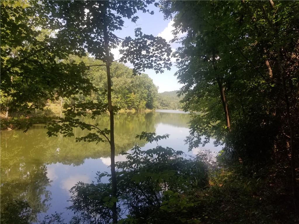 0 Whippoorwill Terrace Alto, GA 30510 - Photo 3 of 24 a view of a lake with large trees