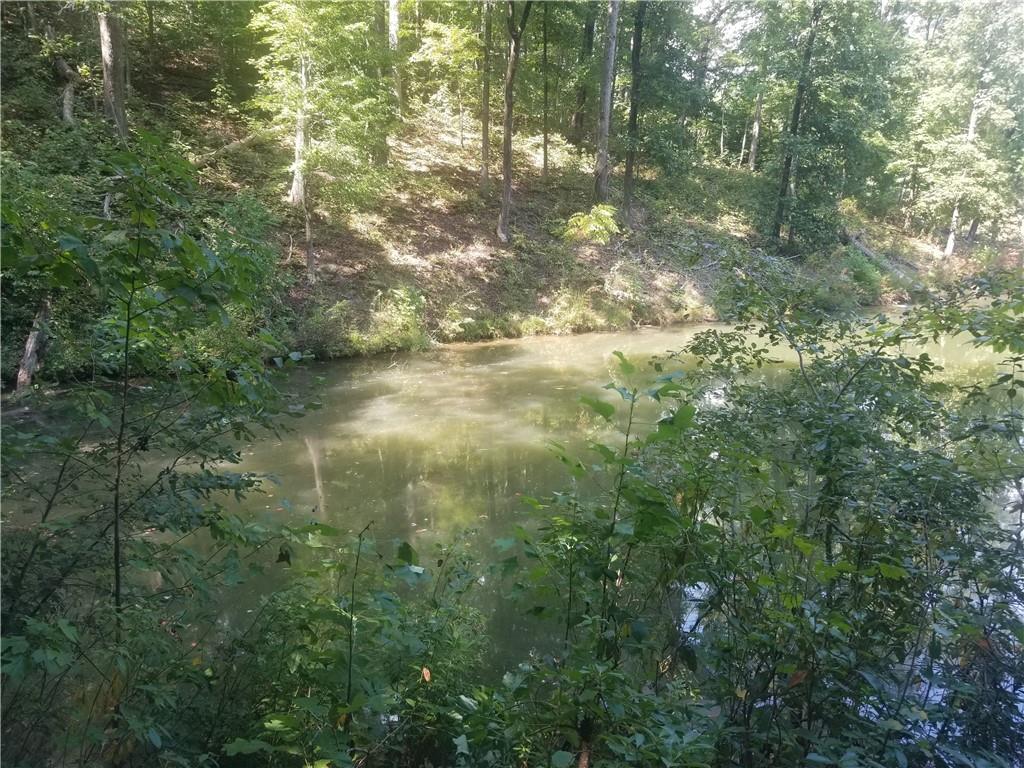 0 Whippoorwill Terrace Alto, GA 30510 - Photo 6 of 24 a view of a yard