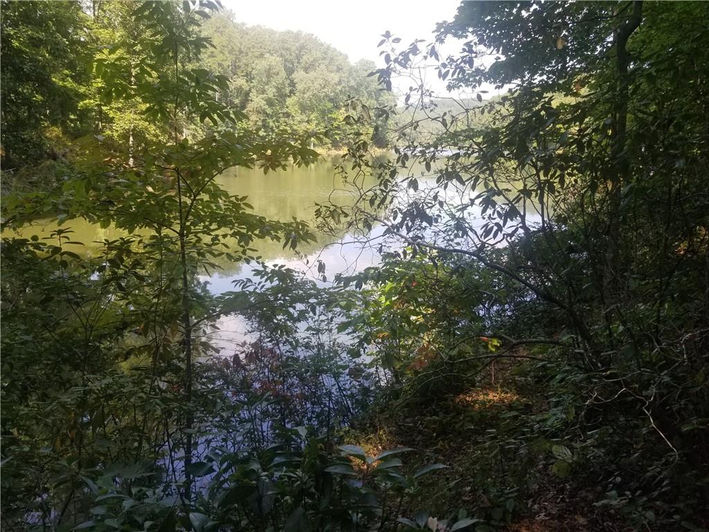 0 Whippoorwill Terrace Alto, GA 30510 - Photo 7 of 24 a view of a lake with a tree