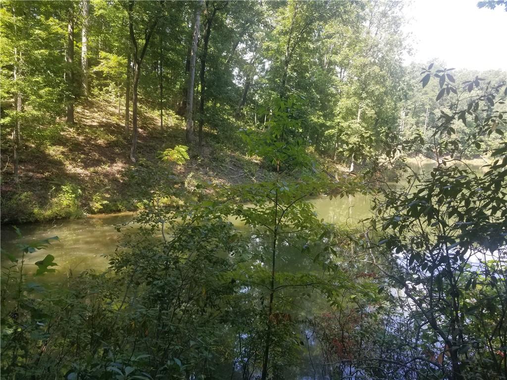 0 Whippoorwill Terrace Alto, GA 30510 - Photo 8 of 24 a view of forest
