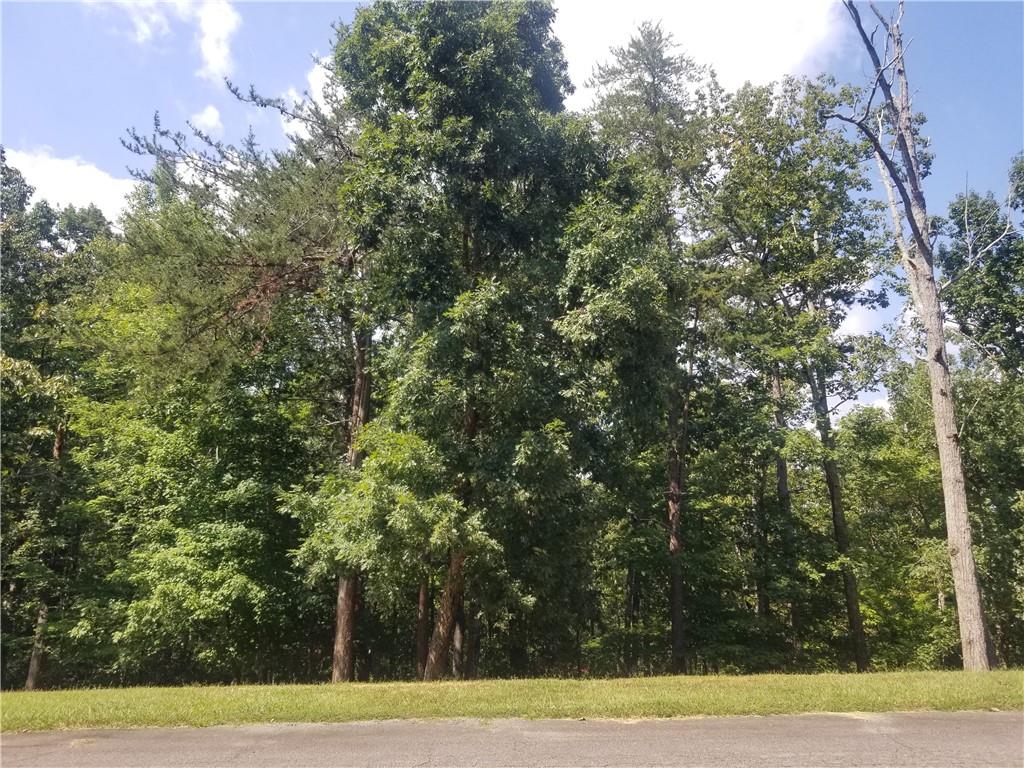 0 Whippoorwill Terrace Alto, GA 30510 - Photo 9 of 24 a view of a yard with a trees