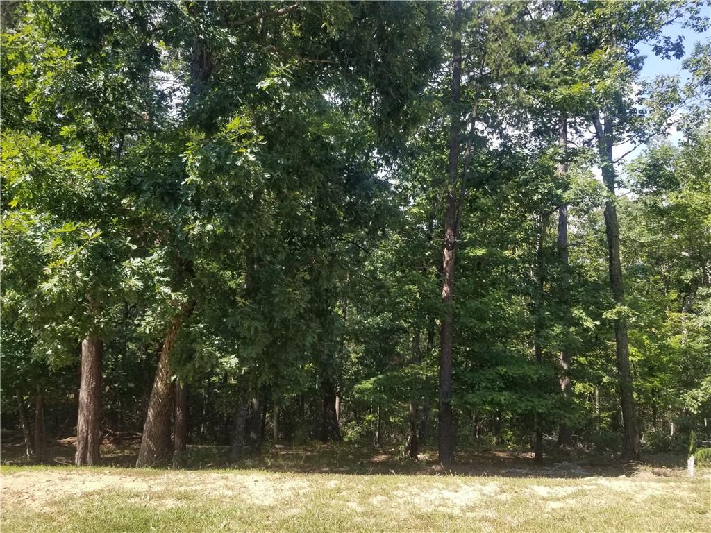 0 Whippoorwill Terrace Alto, GA 30510 - Photo 10 of 24 a view of a yard with trees