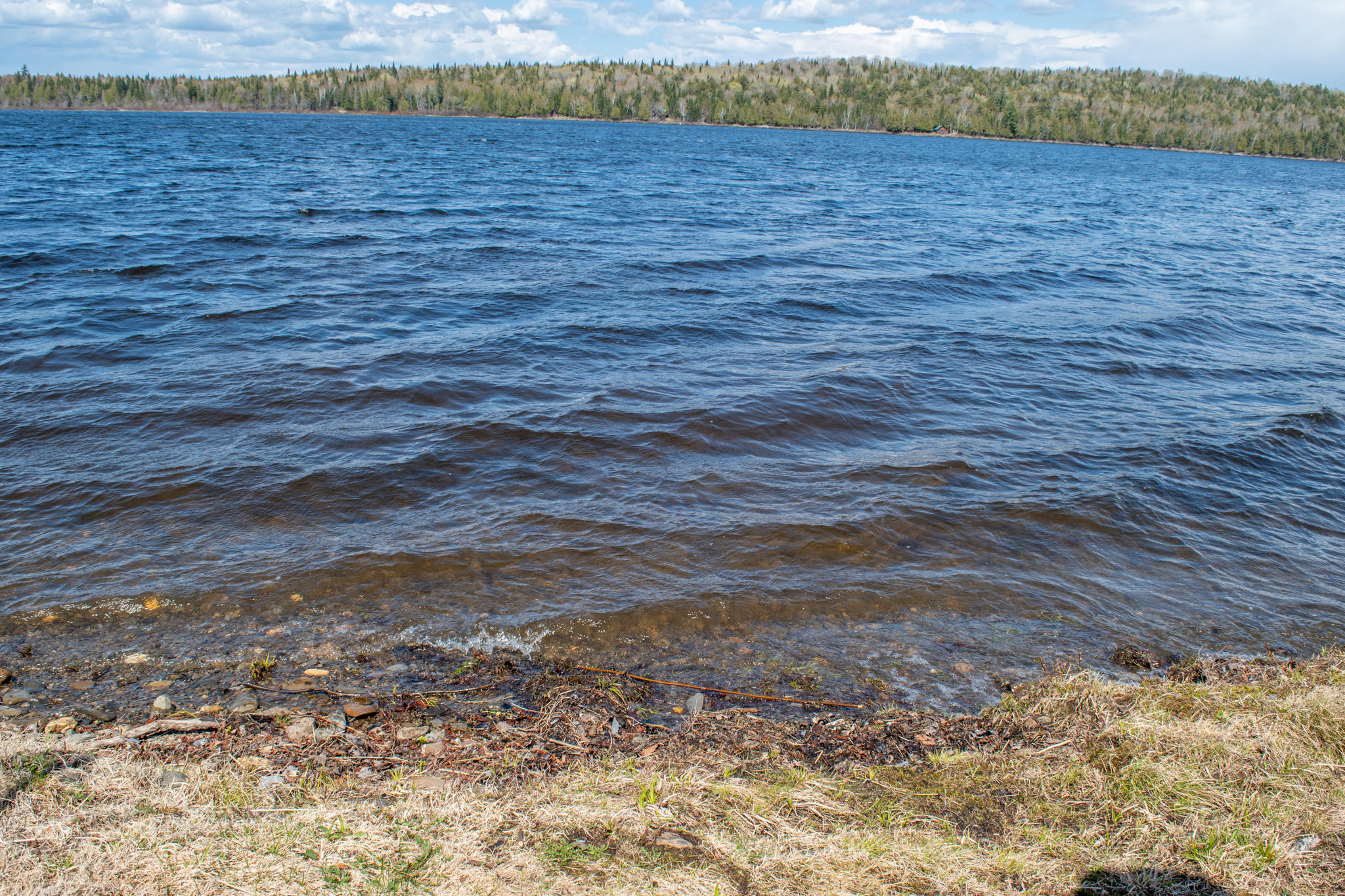 778 W Road Portage Lake, ME 04768 - Photo 4 of 35 DSC_0082