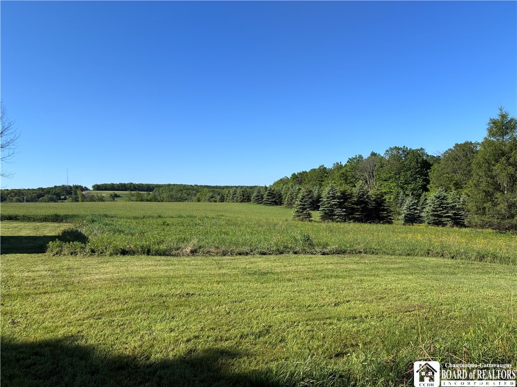 8905 Tug Hill Road Machias, NY 14101 - Photo 44 of 50