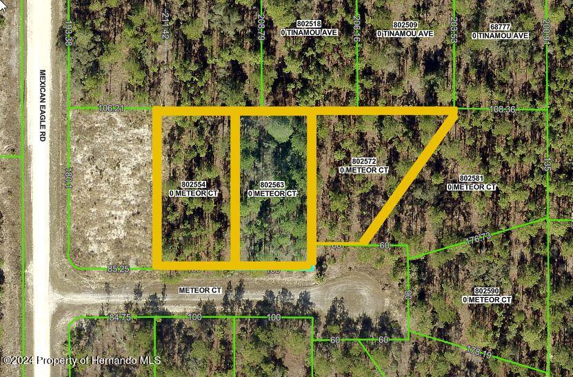 0 Meteor Court Weeki Wachee, FL 34614 - Photo 2 of 4