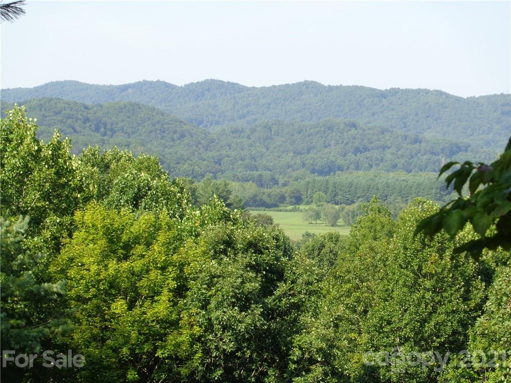 4511 Cove Loop Road Hendersonville, NC 28739 - Photo 18 of 47 Gallery Image 18