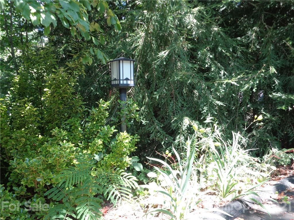 4511 Cove Loop Road Hendersonville, NC 28739 - Photo 3 of 47 Gallery Image 3