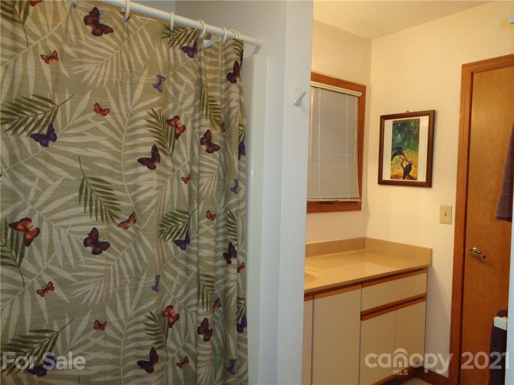 4511 Cove Loop Road Hendersonville, NC 28739 - Photo 27 of 47 Gallery Image 27