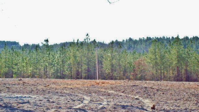 Lot 18 Cooks Bridge Road Aiken, SC 29801 - Photo 12 of 15