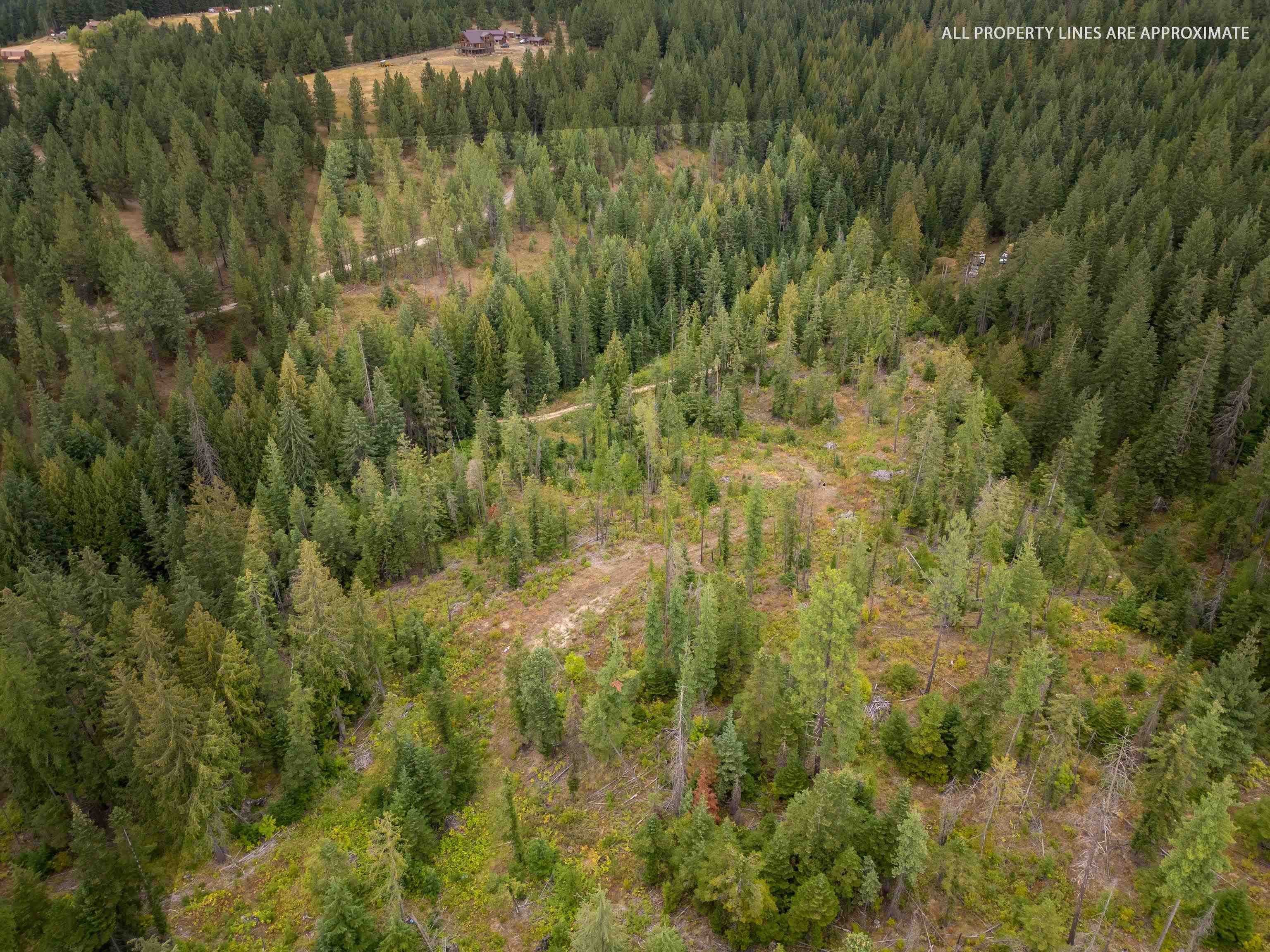 Xx North Deer Lane Mead, WA 99021 - Photo 11 of 17