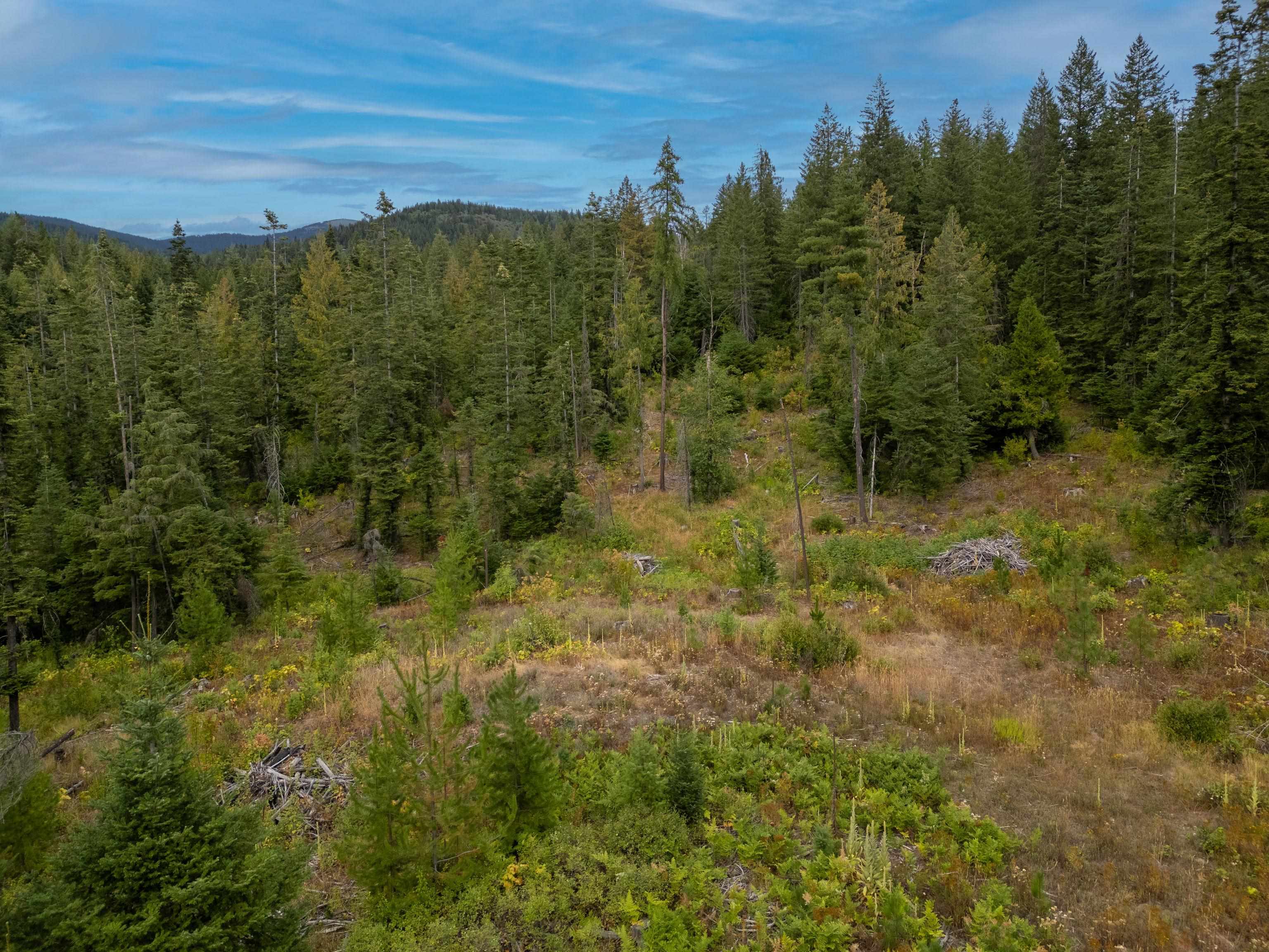 Xx North Deer Lane Mead, WA 99021 - Photo 12 of 17