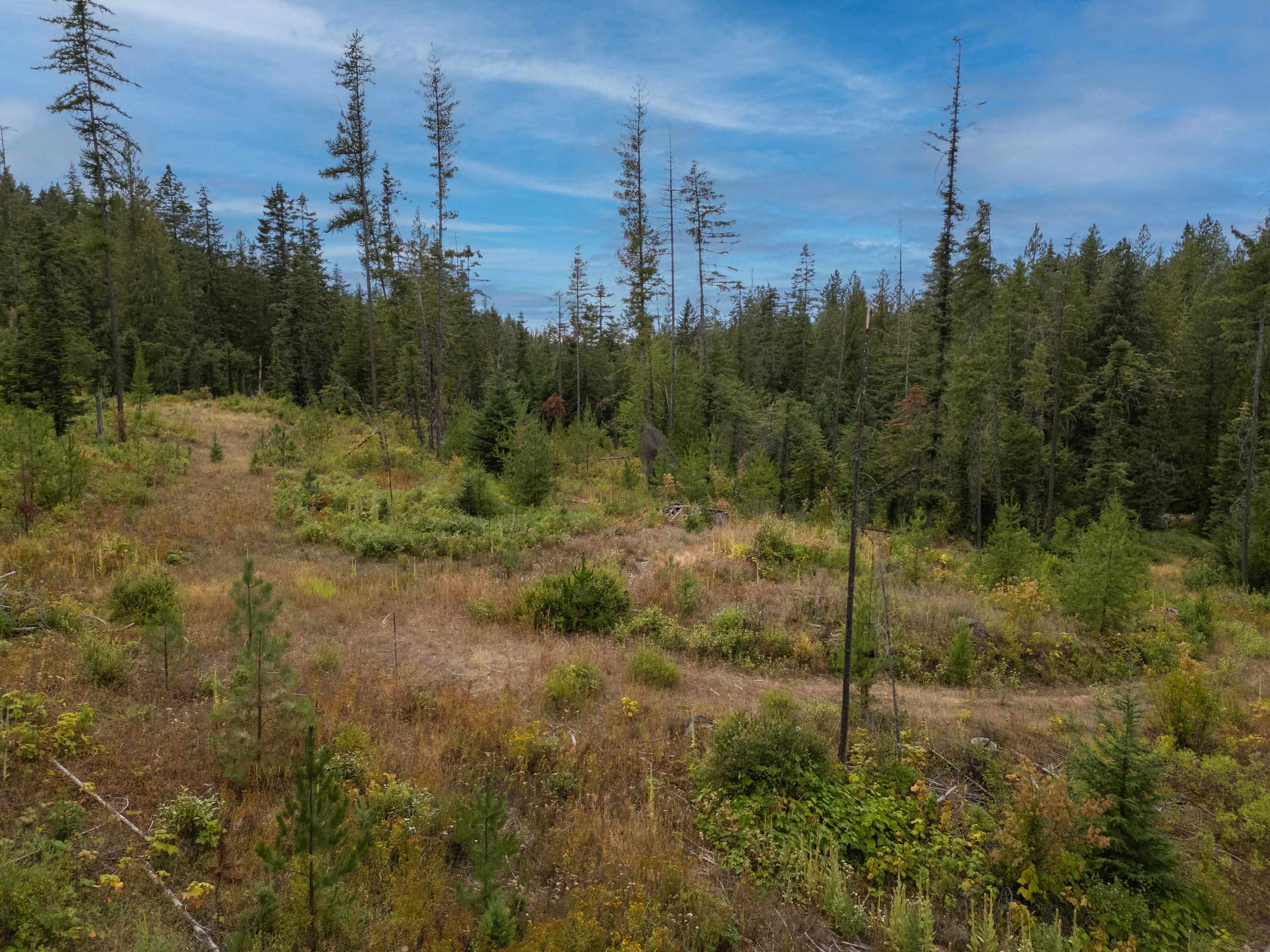 Xx North Deer Lane Mead, WA 99021 - Photo 13 of 17