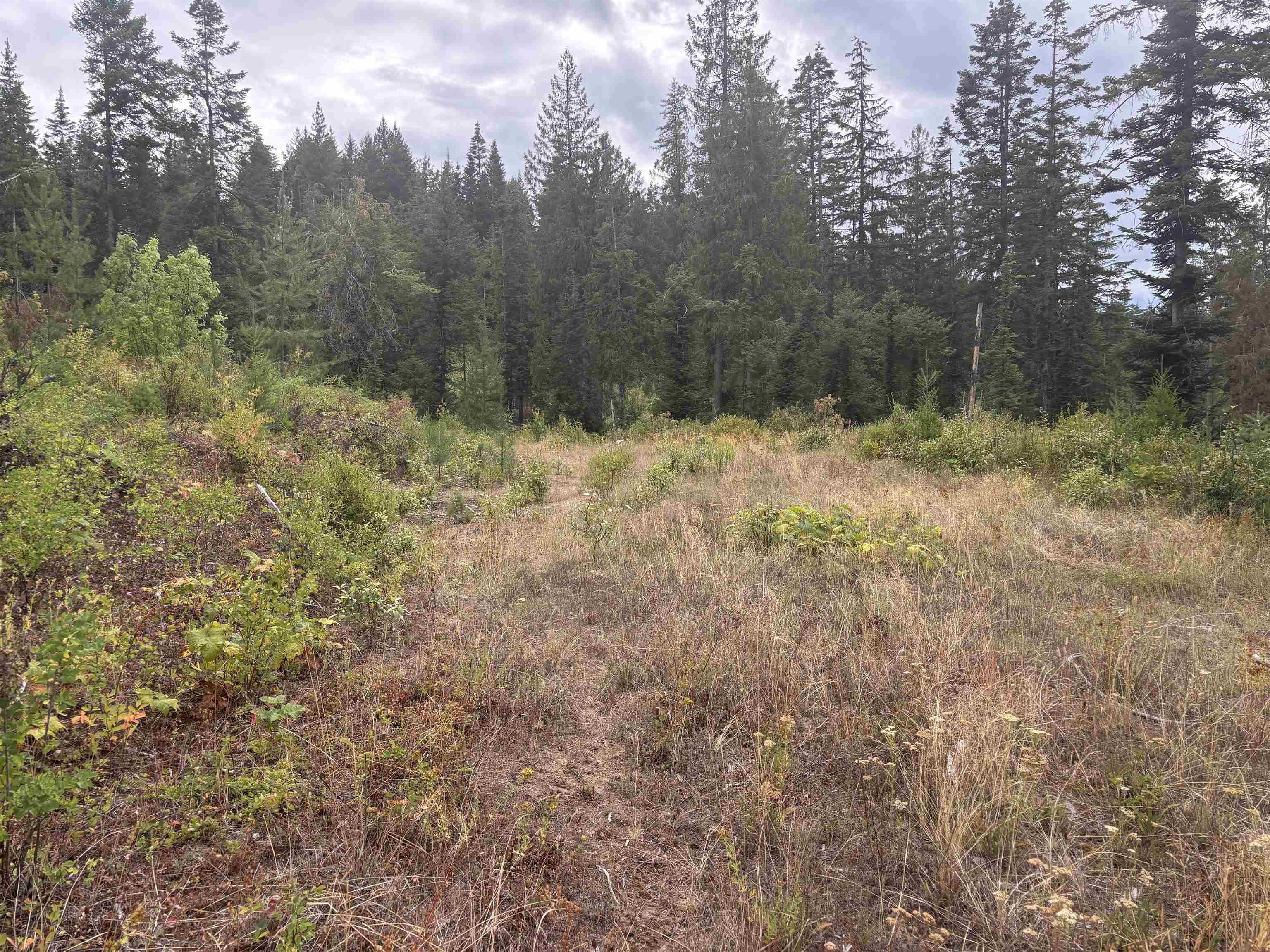 Xx North Deer Lane Mead, WA 99021 - Photo 15 of 17