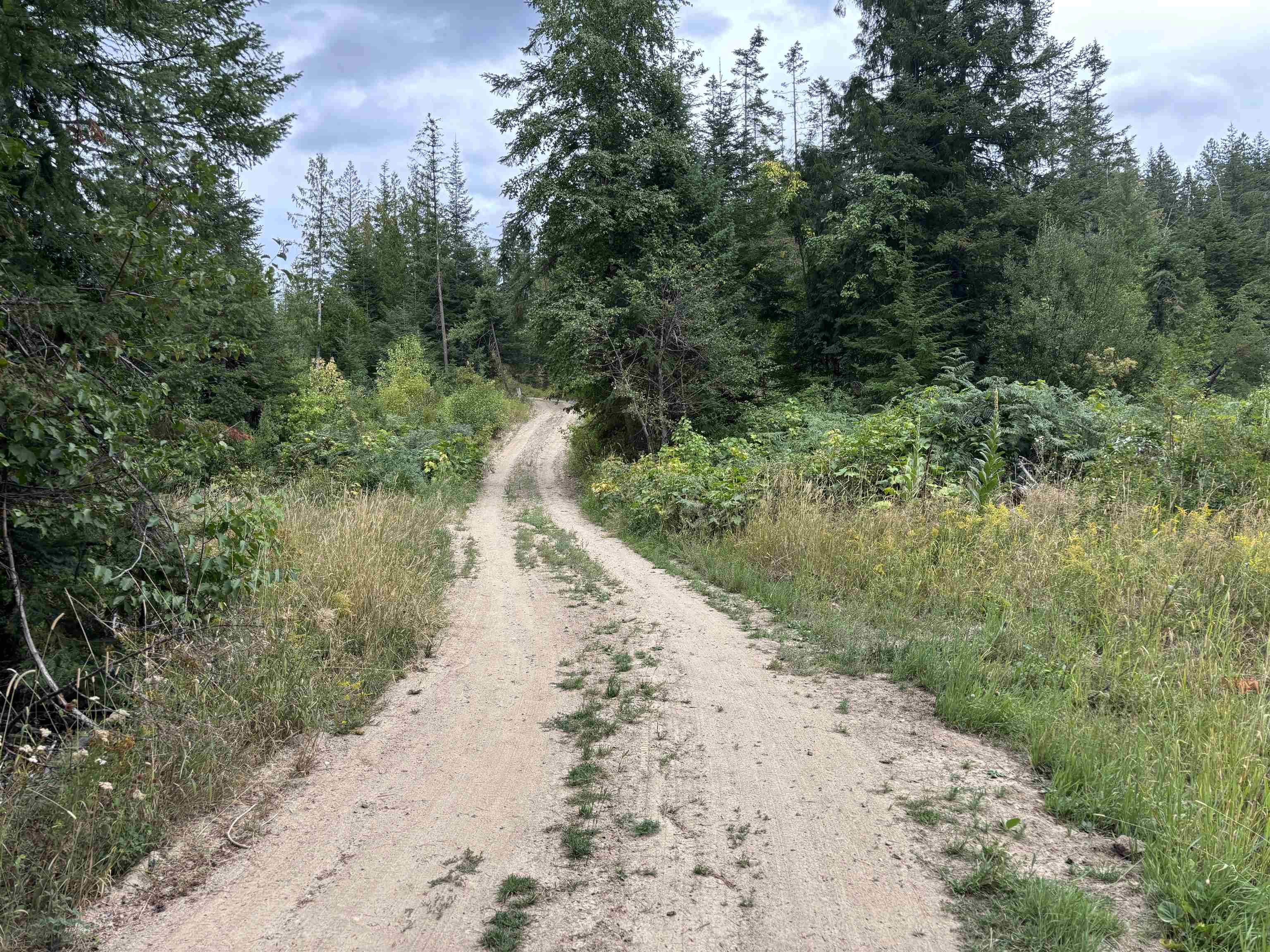 Xx North Deer Lane Mead, WA 99021 - Photo 17 of 17