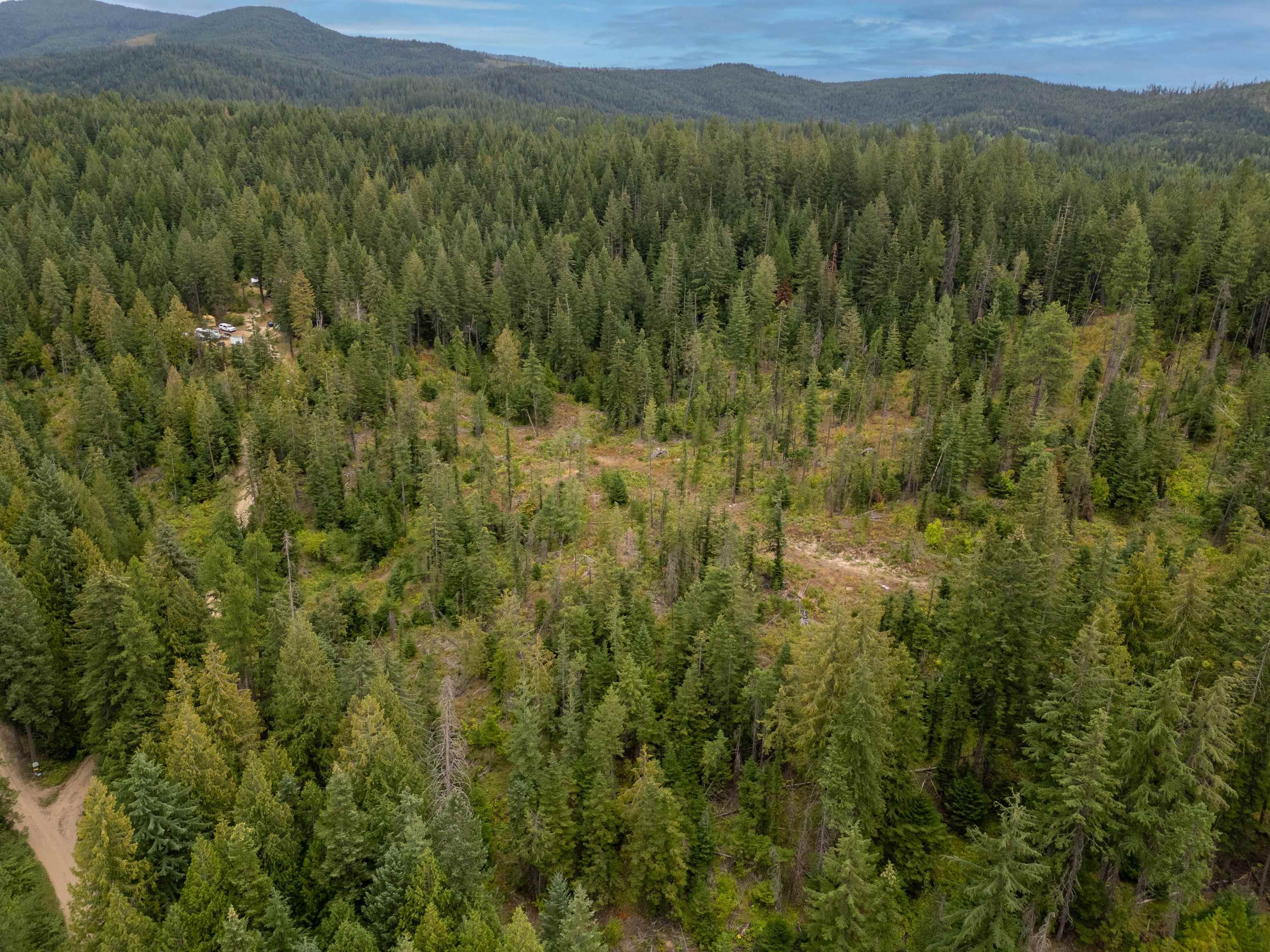 Xx North Deer Lane Mead, WA 99021 - Photo 2 of 17