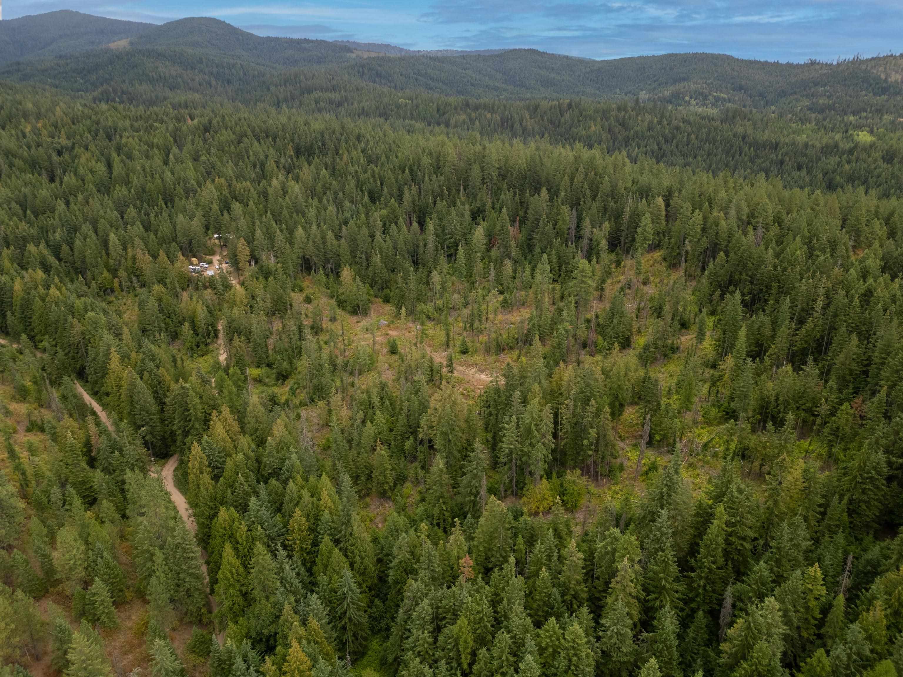 Xx North Deer Lane Mead, WA 99021 - Photo 3 of 17