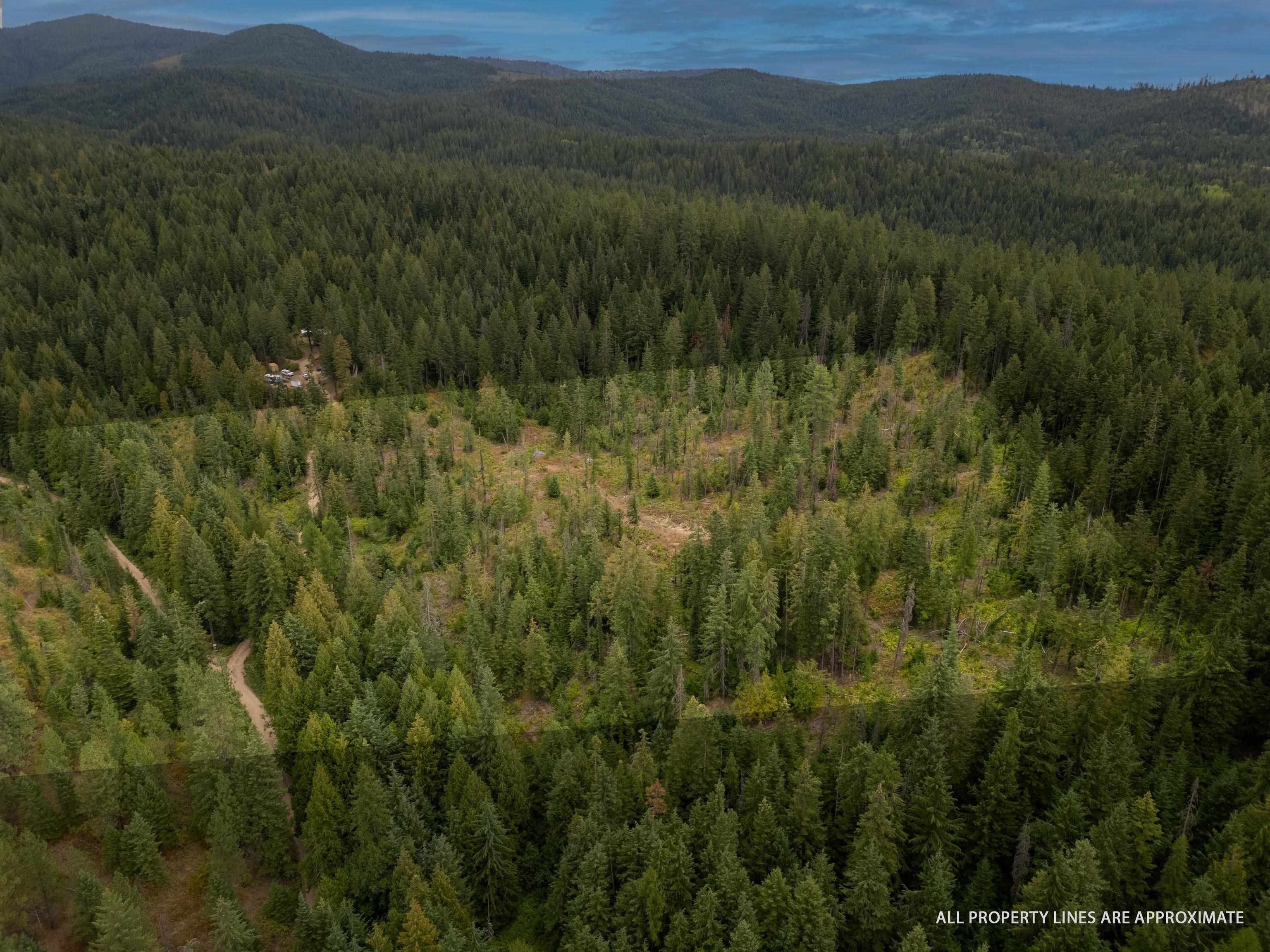 Xx North Deer Lane Mead, WA 99021 - Photo 4 of 17