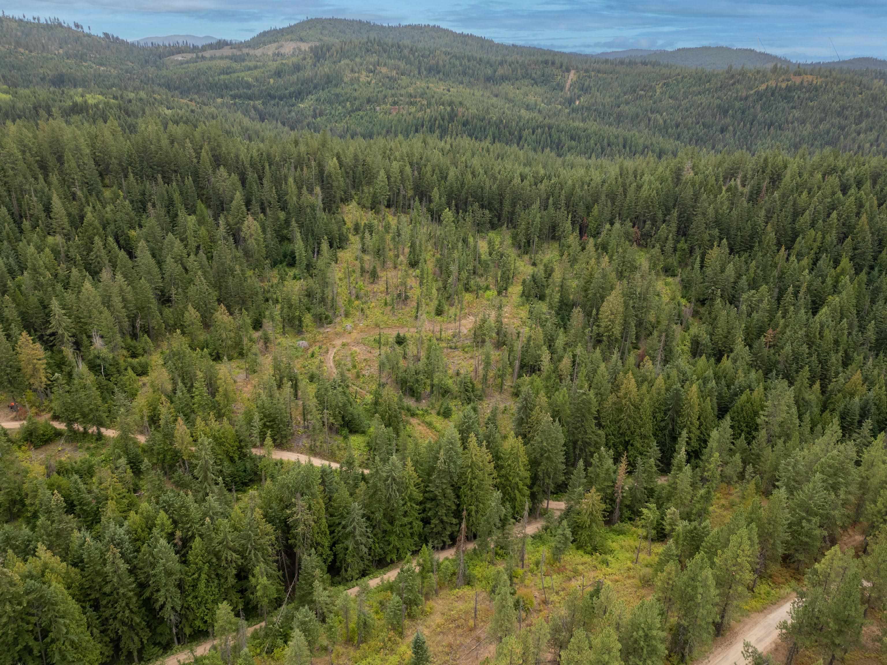 Xx North Deer Lane Mead, WA 99021 - Photo 5 of 17