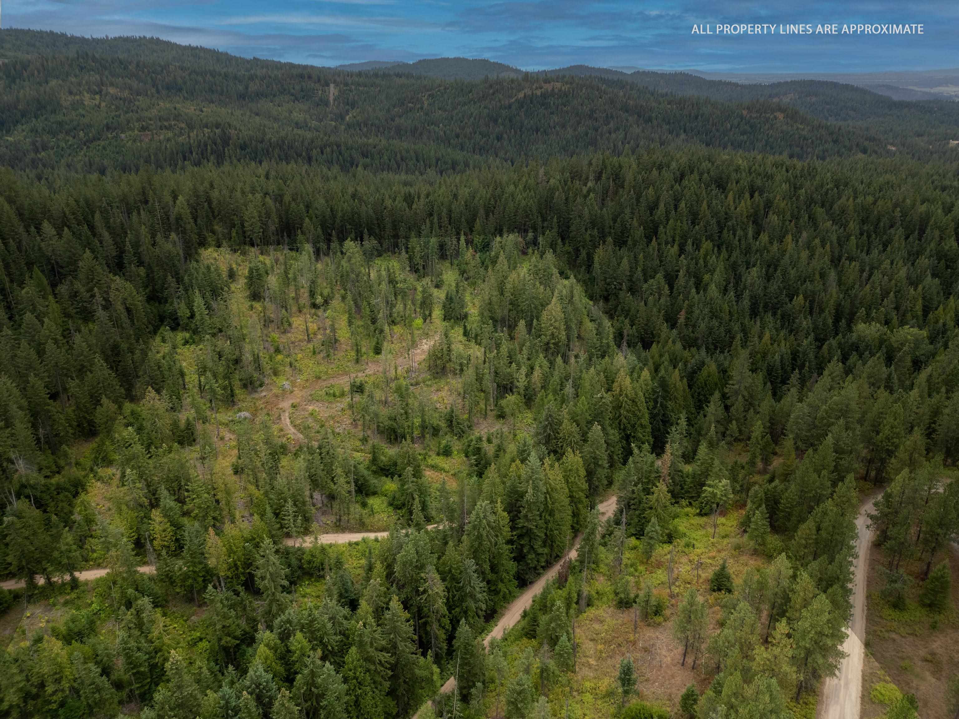 Xx North Deer Lane Mead, WA 99021 - Photo 6 of 17