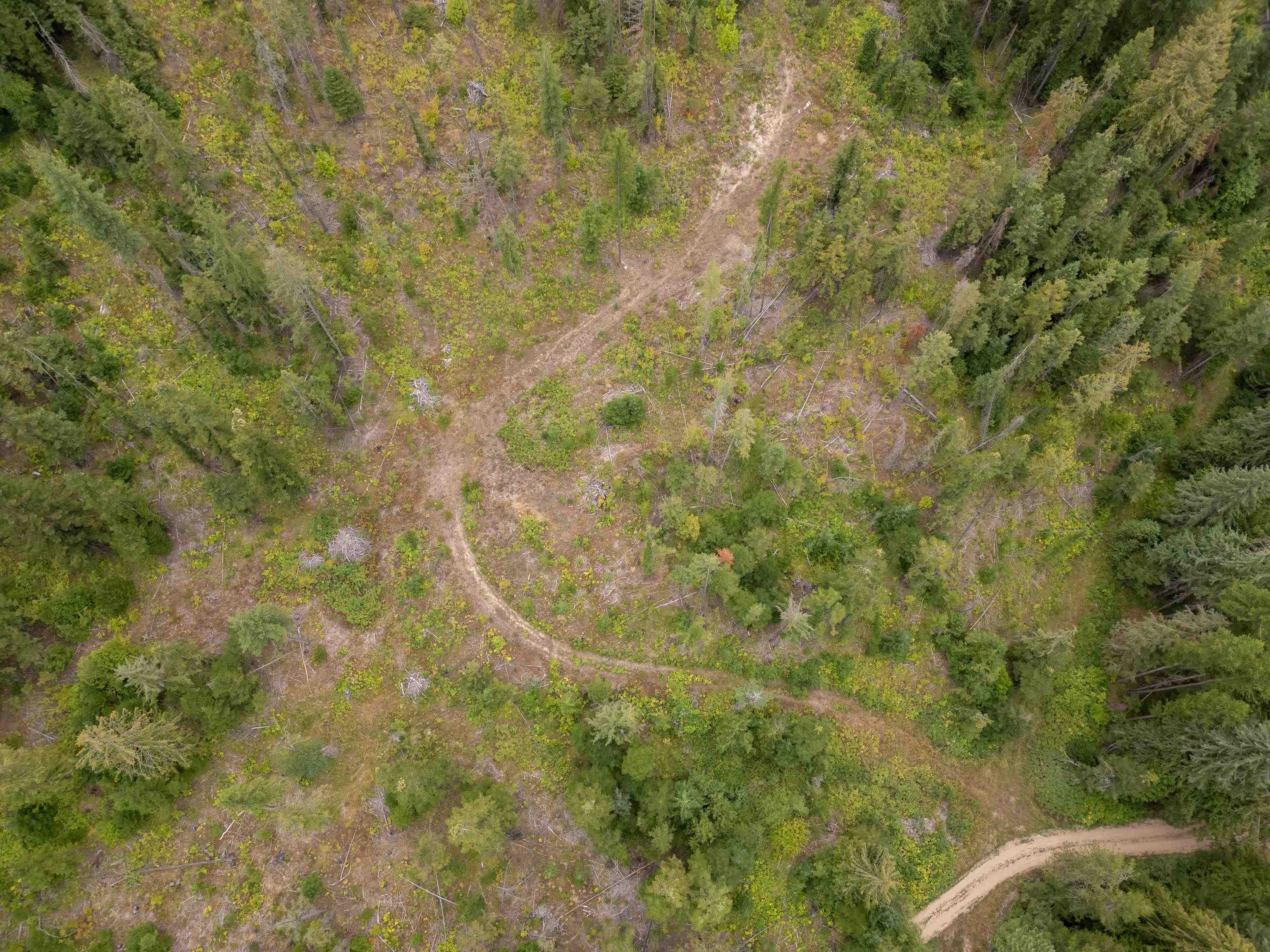 Xx North Deer Lane Mead, WA 99021 - Photo 7 of 17