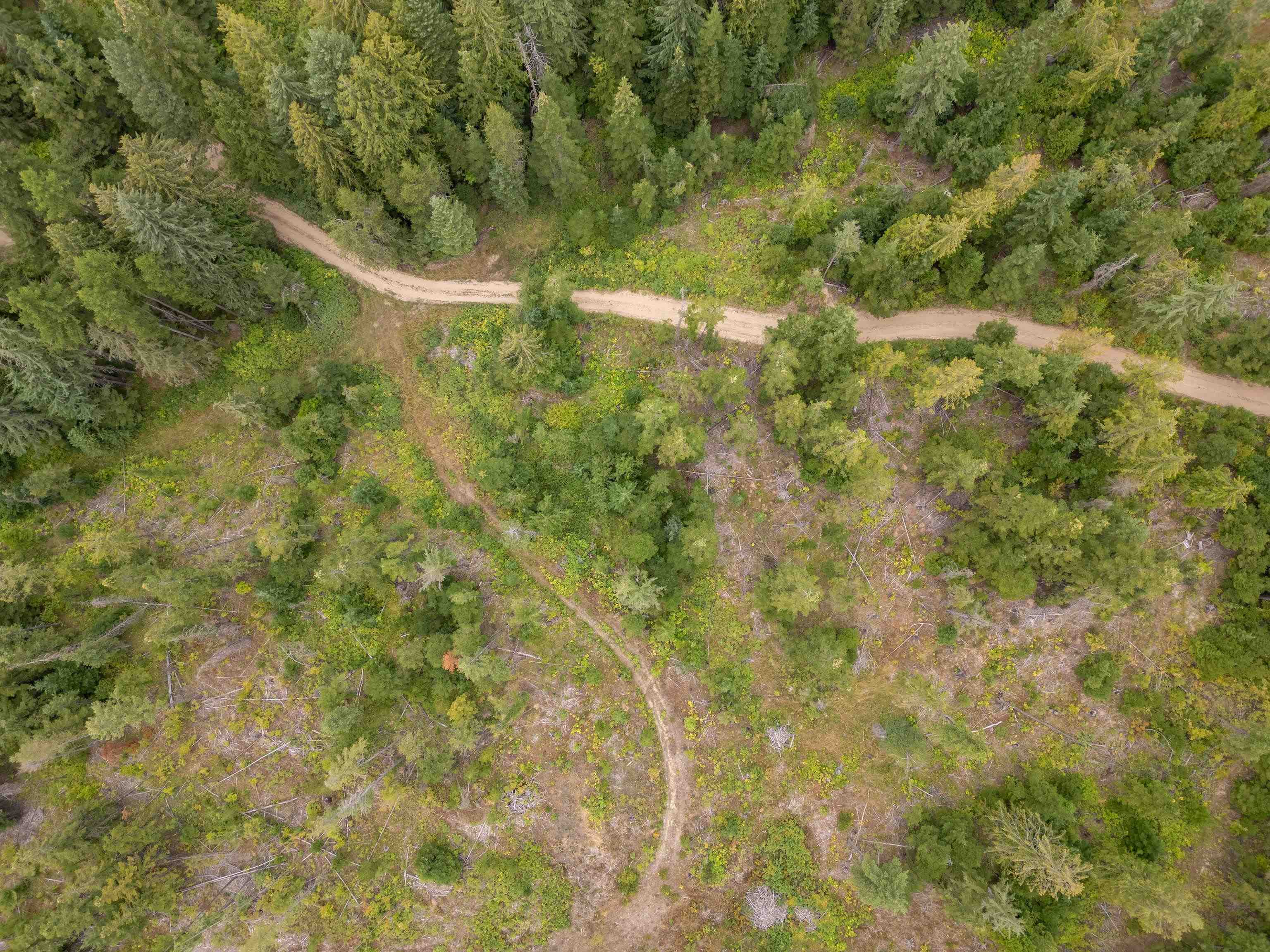 Xx North Deer Lane Mead, WA 99021 - Photo 8 of 17