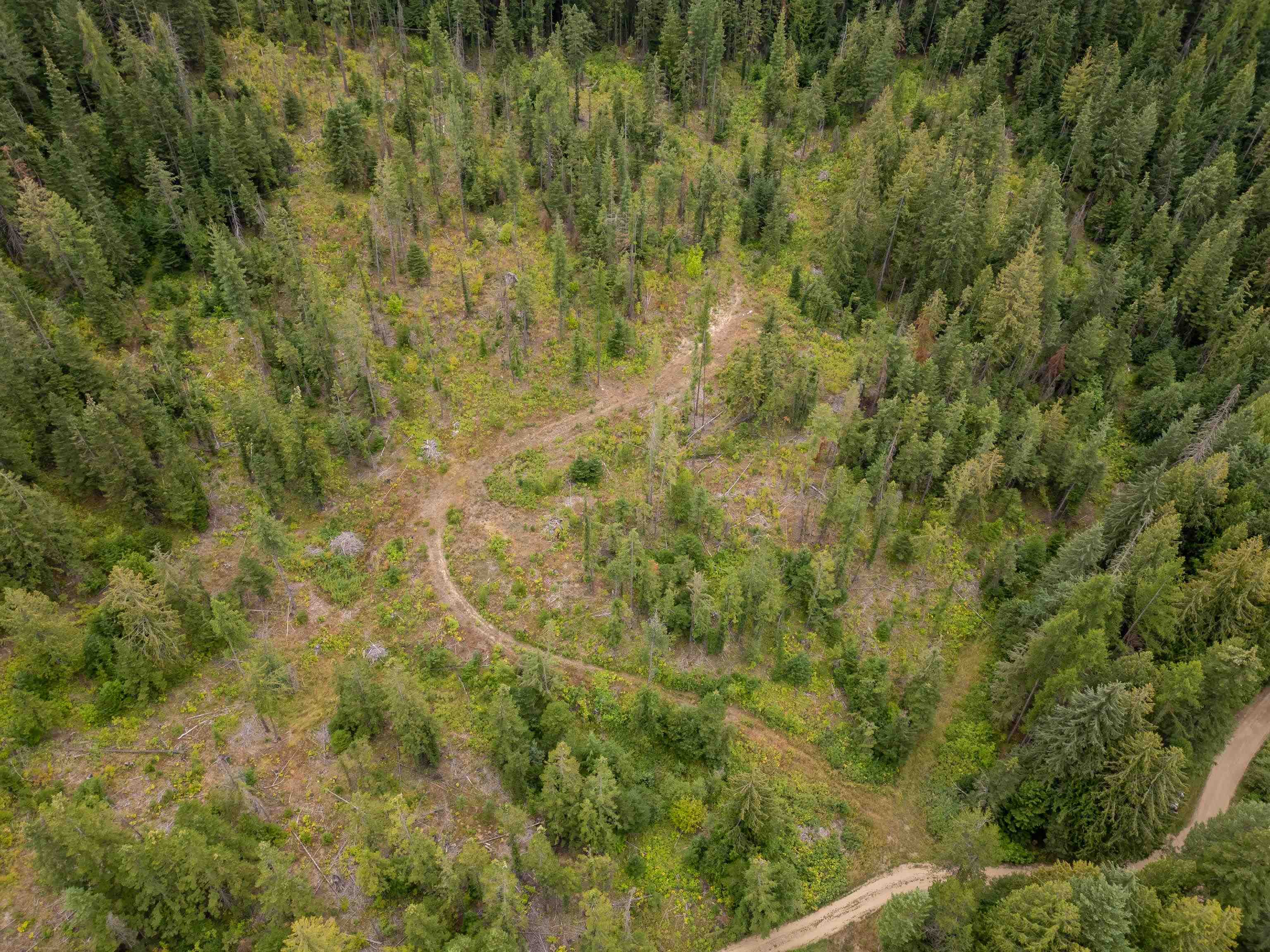 Xx North Deer Lane Mead, WA 99021 - Photo 9 of 17