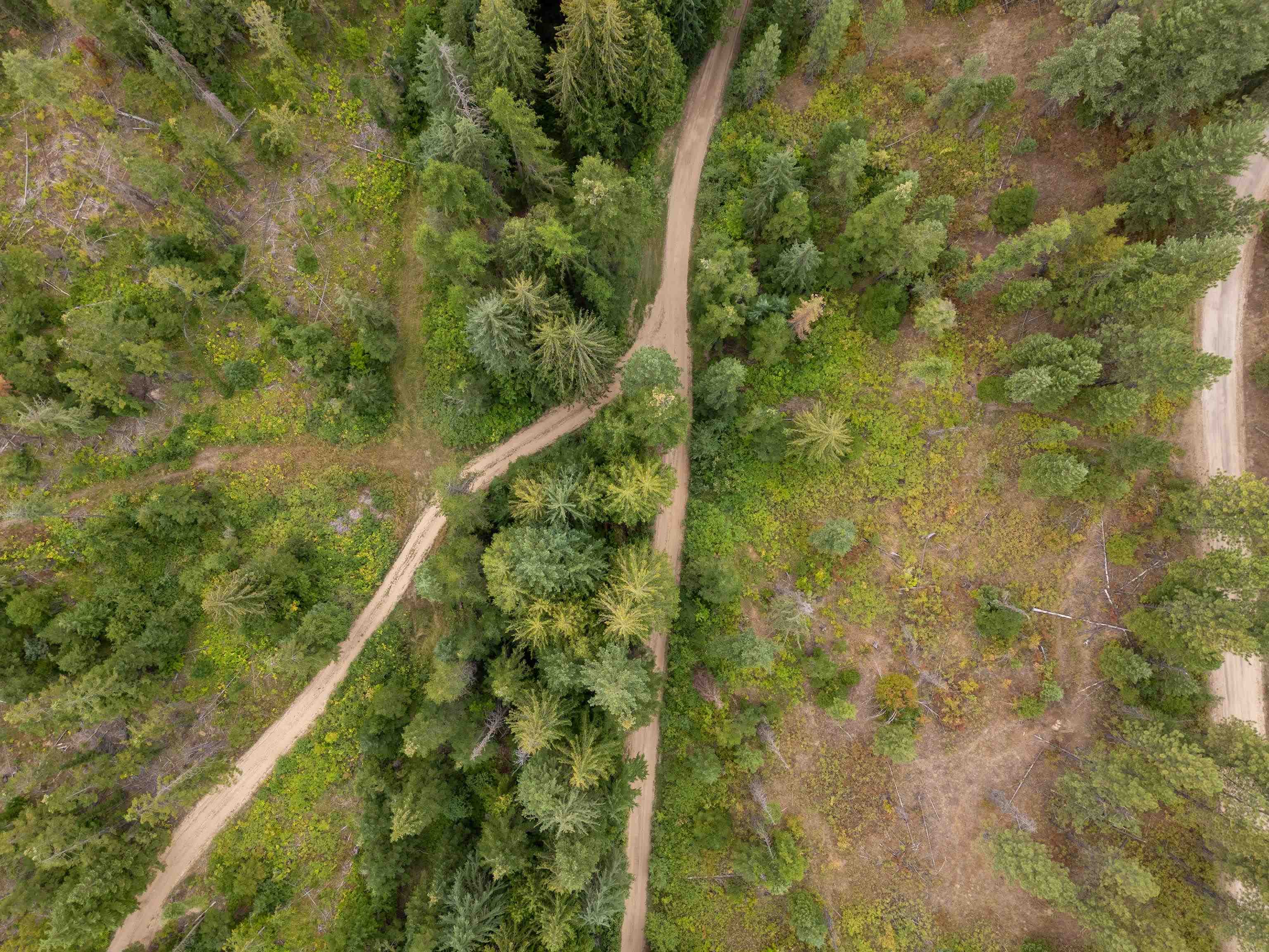 Xx North Deer Lane Mead, WA 99021 - Photo 10 of 17