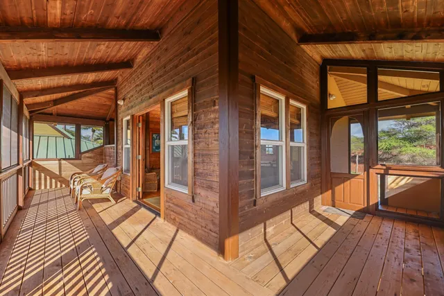 a view of a street with a tree