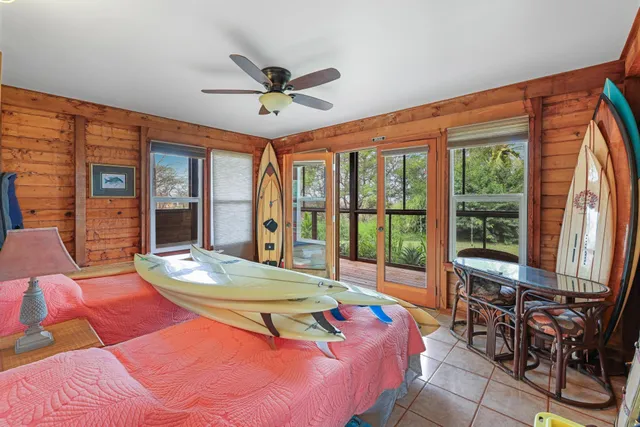 a view of a garden with a tree