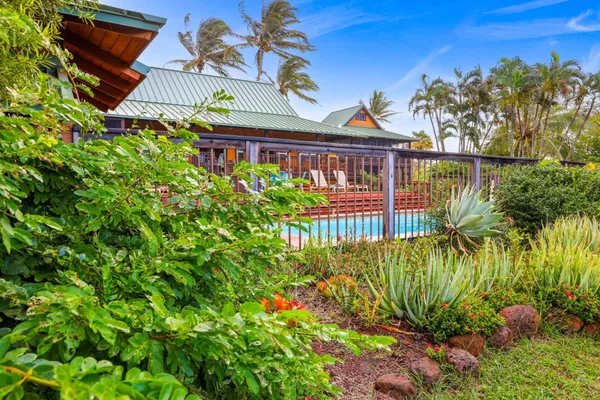 a view of a park with large trees