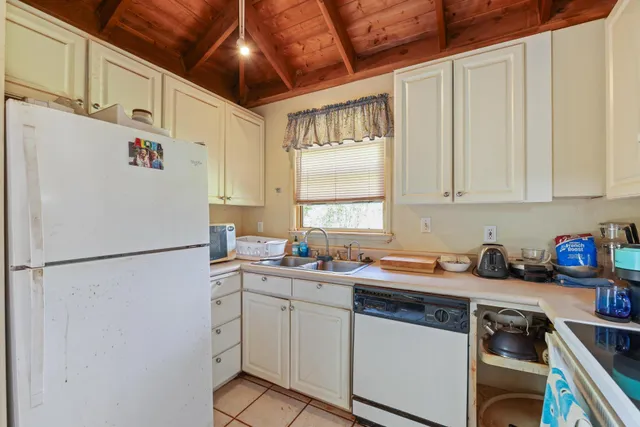 a view of a backyard with plants and large trees