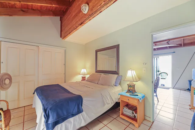 a plant that is in a garden