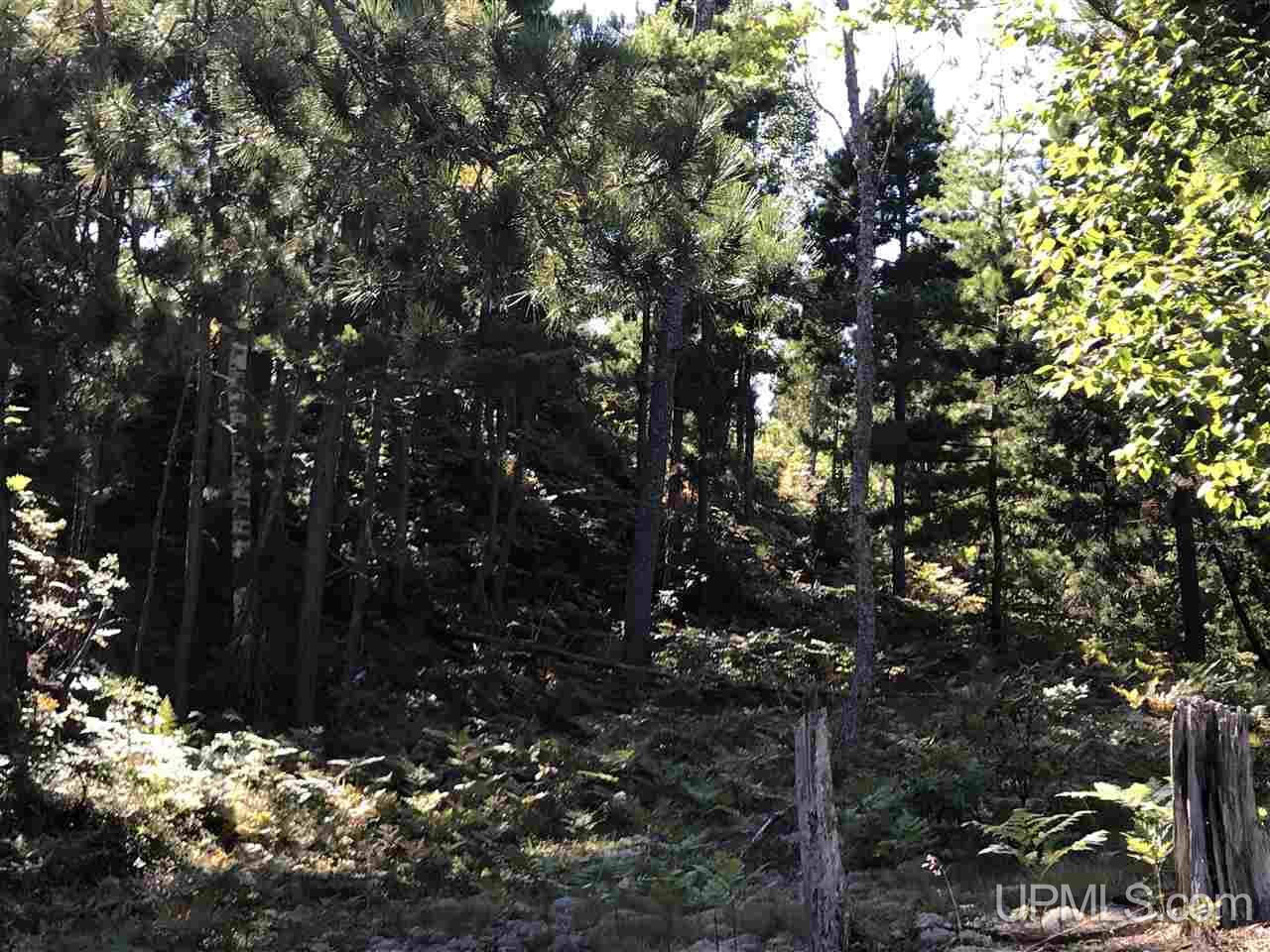 Tbd Five Mile Point Road, Unit 38 10 ACRES Allouez, MI 49805 - Photo 7 of 13