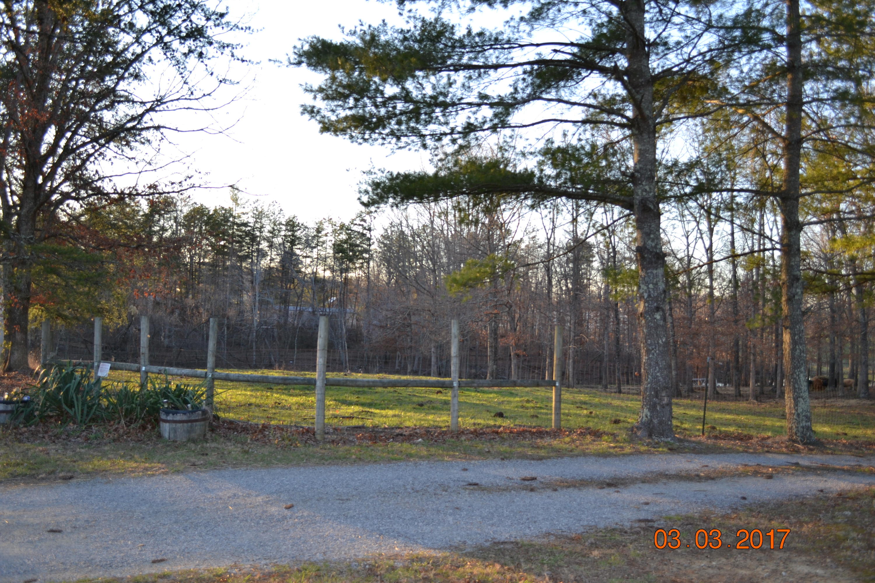 Clark Subdivision Road Clarkrange, TN 38553 - Photo 2 of 11 Fenced Field