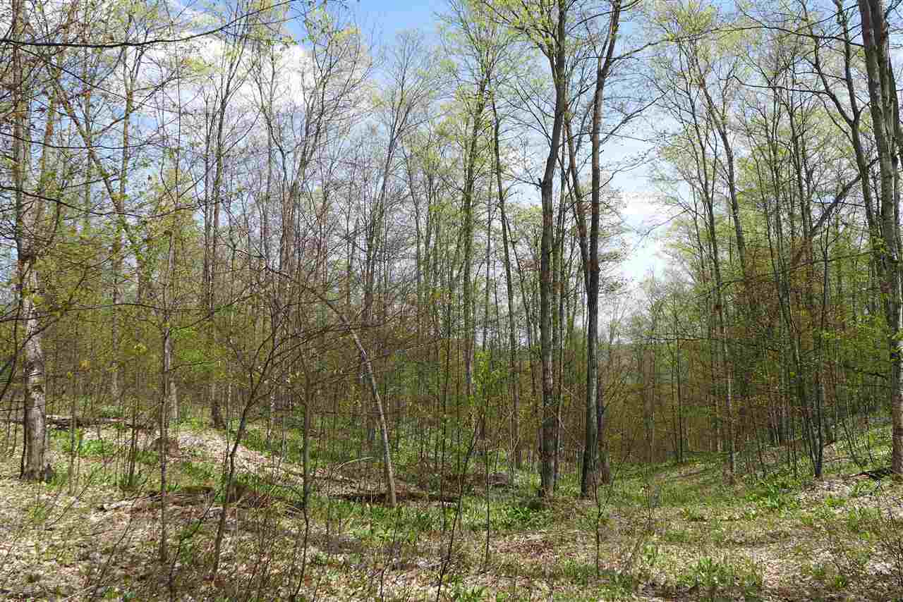 6777 Peters Road Boyne Falls, MI 49713 - Photo 17 of 57 1831661-16.JPG