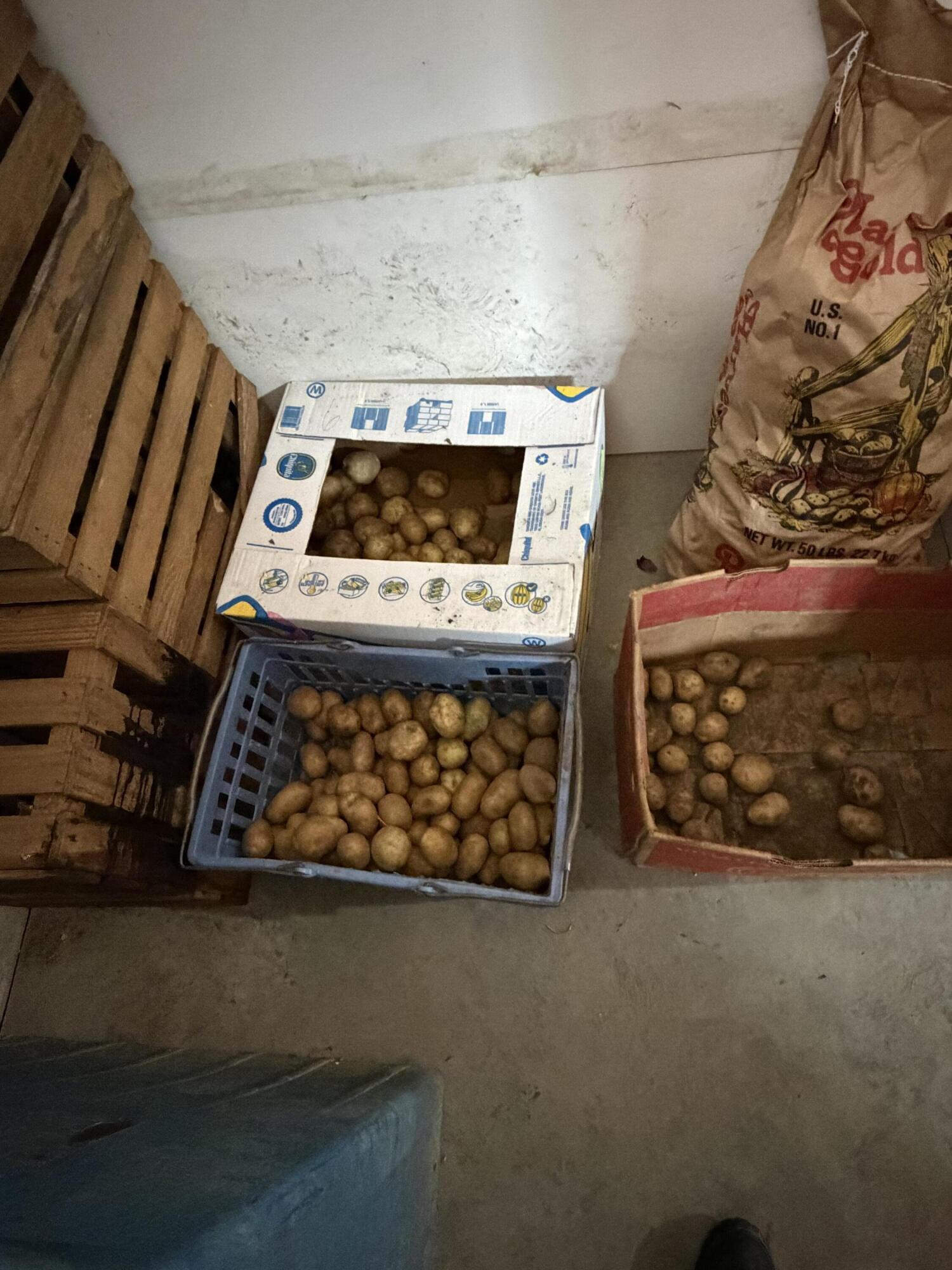 68 Dunn Road Dexter, ME 04930 - Photo 63 of 85 Root Cellar