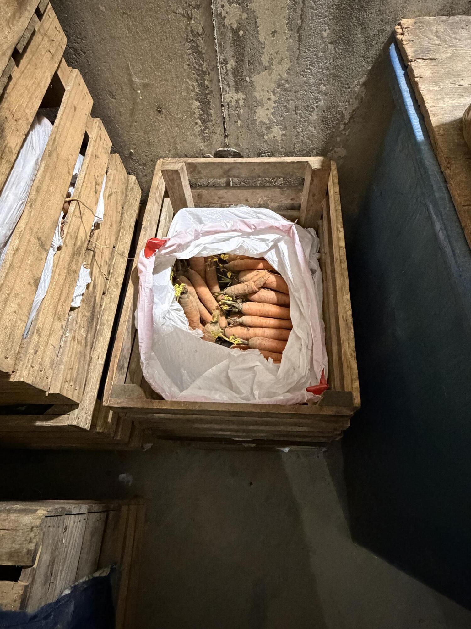 68 Dunn Road Dexter, ME 04930 - Photo 64 of 85 Root Cellar