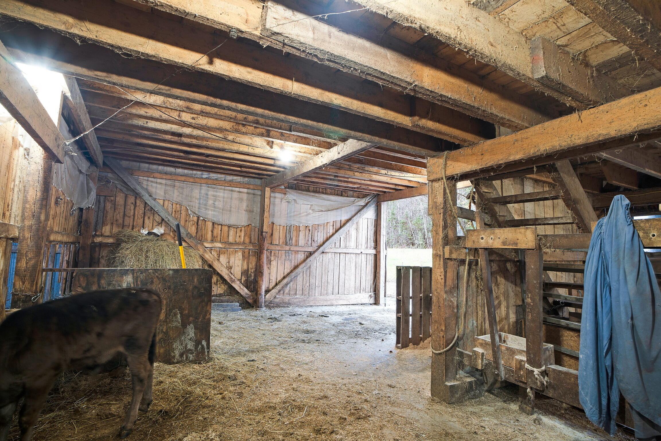 68 Dunn Road Dexter, ME 04930 - Photo 68 of 85 Interior of Barn