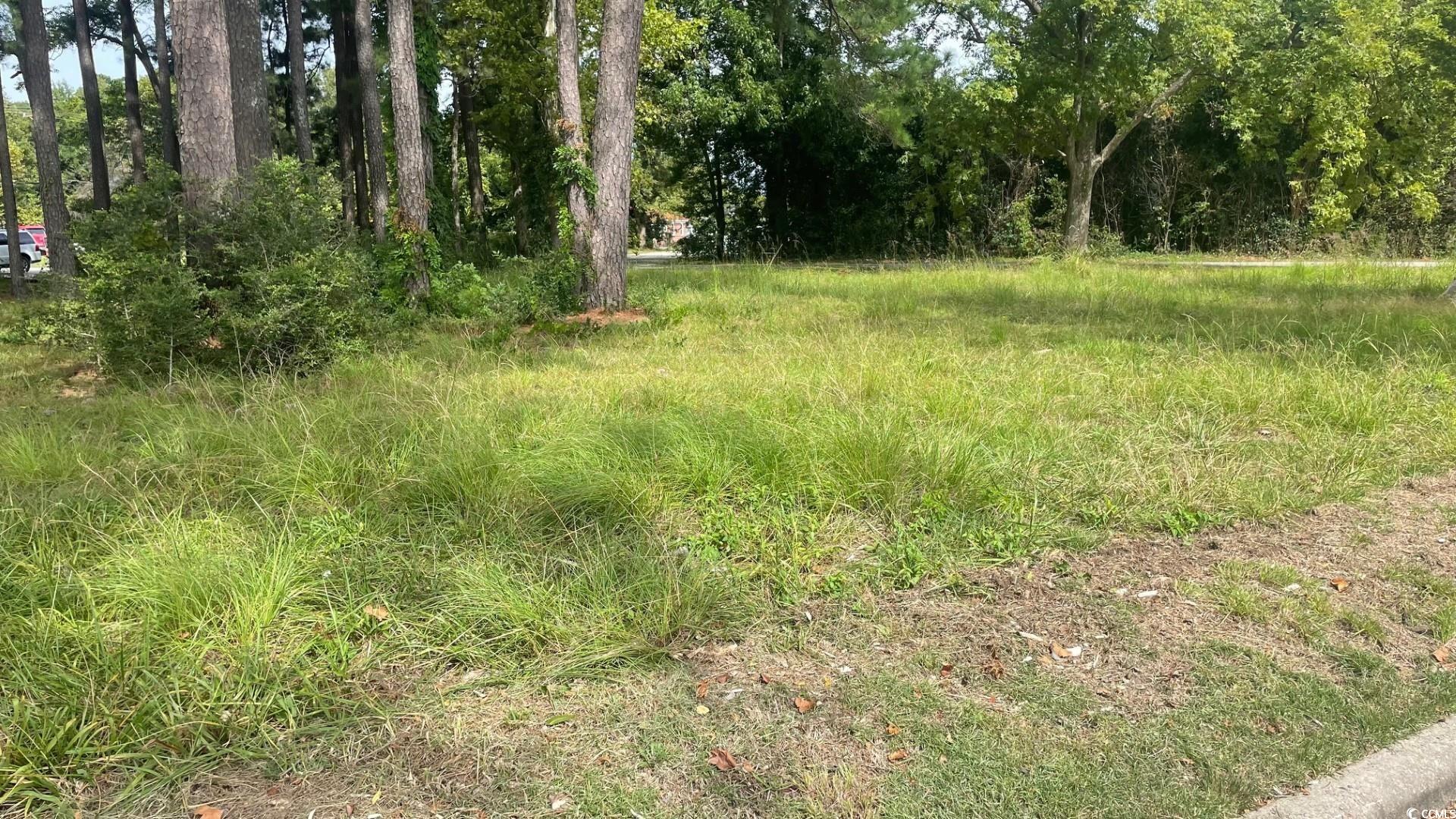 Tbd Green Sea Road Tabor City, NC 28463 - Photo 2 of 2 View of landscape