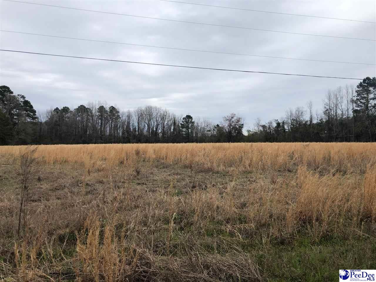 5-acres Stagecoach Road Effingham, SC 29541 - Photo 1 of 1 Gallery Image 1