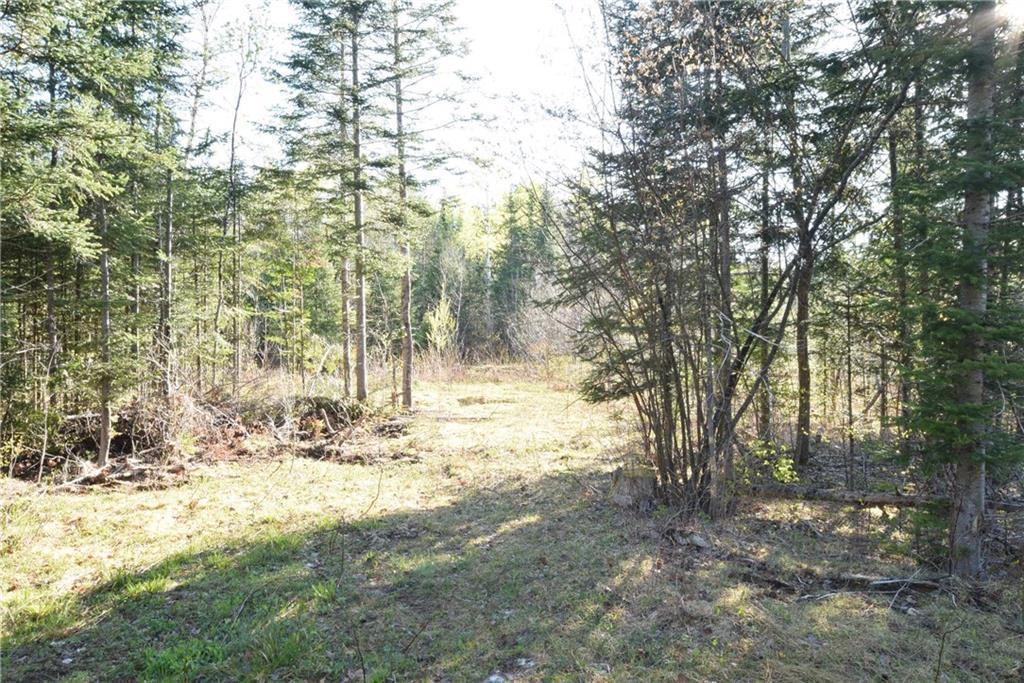2007 Bancroft Road Bancroft, ME 04497 - Photo 18 of 25 Land