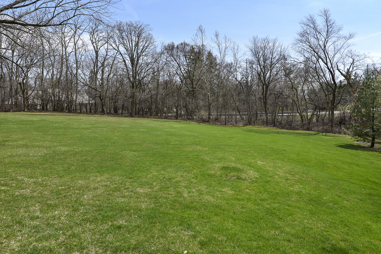 1495 Dunbar Road Inverness, IL 60067 - Photo 3 of 6 a view of a grassy field with trees